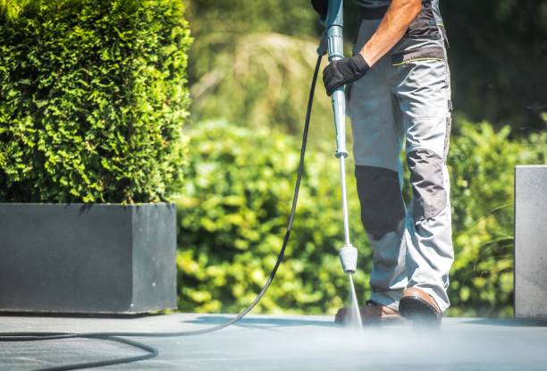 Best Roof Washing  in Suisun City, CA